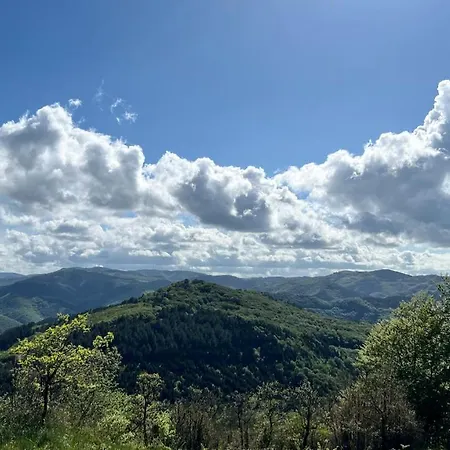 De Rouvignac